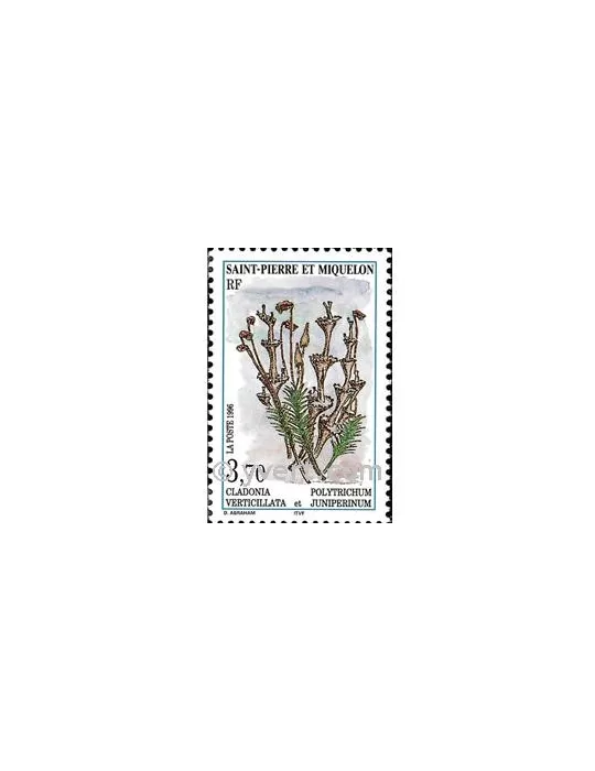 n° 626 -  Timbre Saint-Pierre et Miquelon Poste