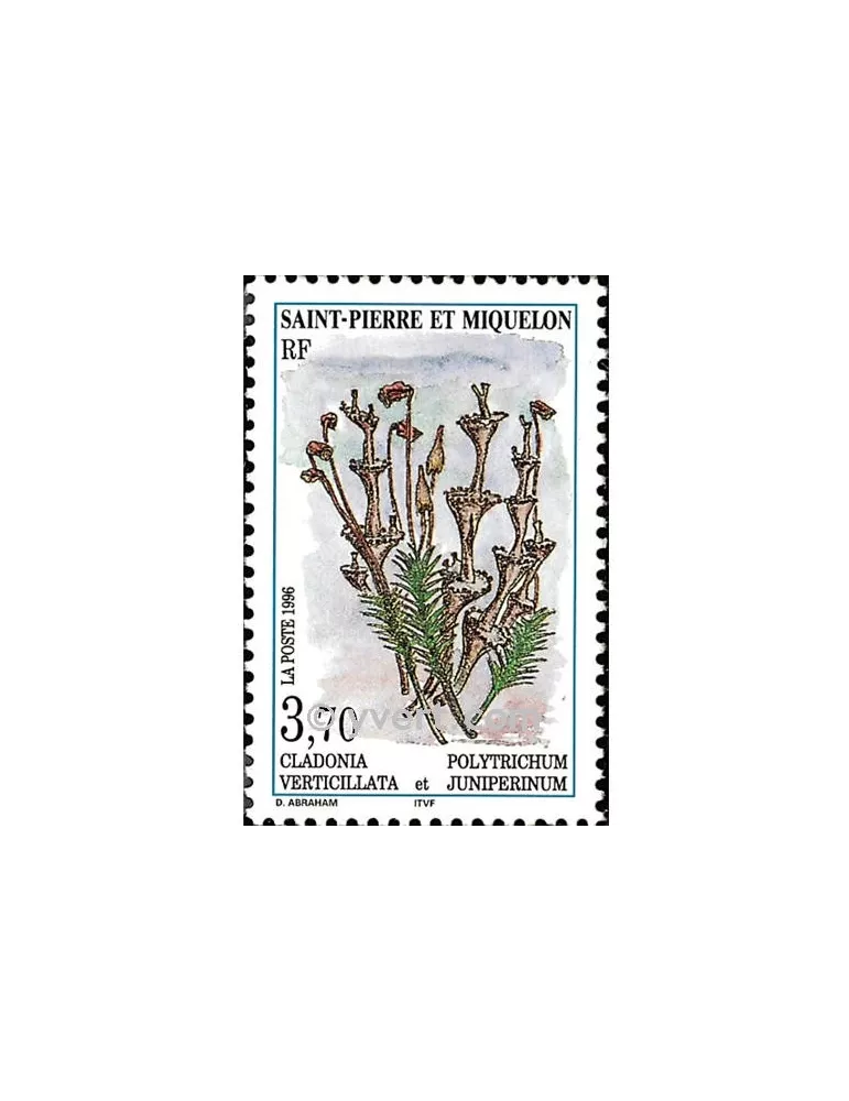 n° 626 -  Timbre Saint-Pierre et Miquelon Poste