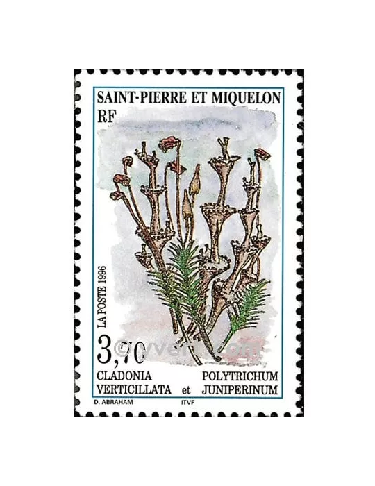 n° 626 -  Timbre Saint-Pierre et Miquelon Poste