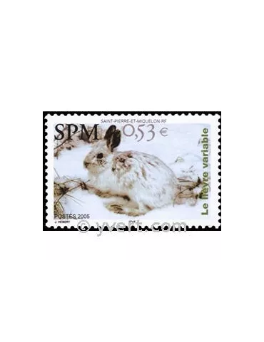 n° 855 -  Timbre Saint-Pierre et Miquelon Poste