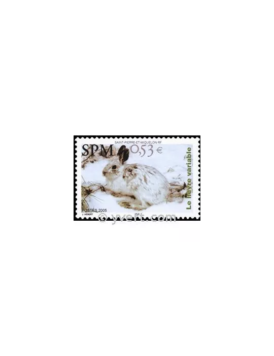 n° 855 -  Timbre Saint-Pierre et Miquelon Poste