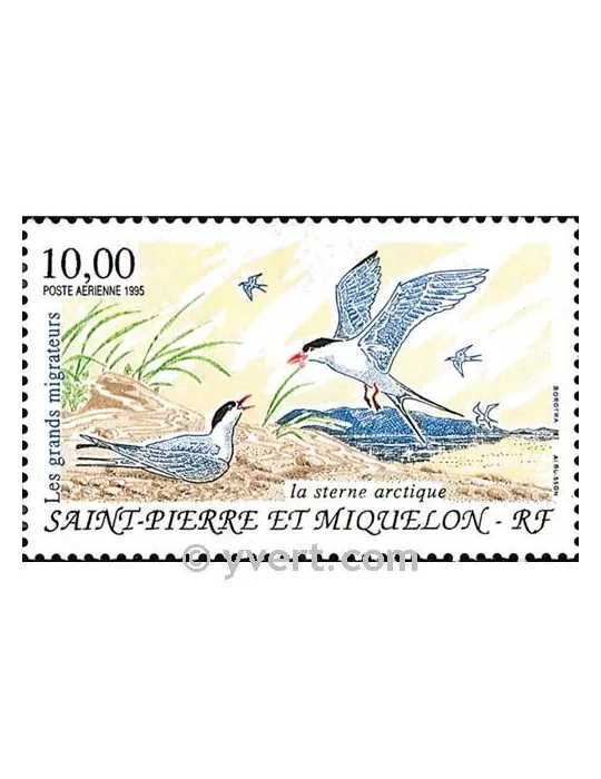 n° 74 -  Timbre Saint-Pierre et Miquelon Poste aérienne