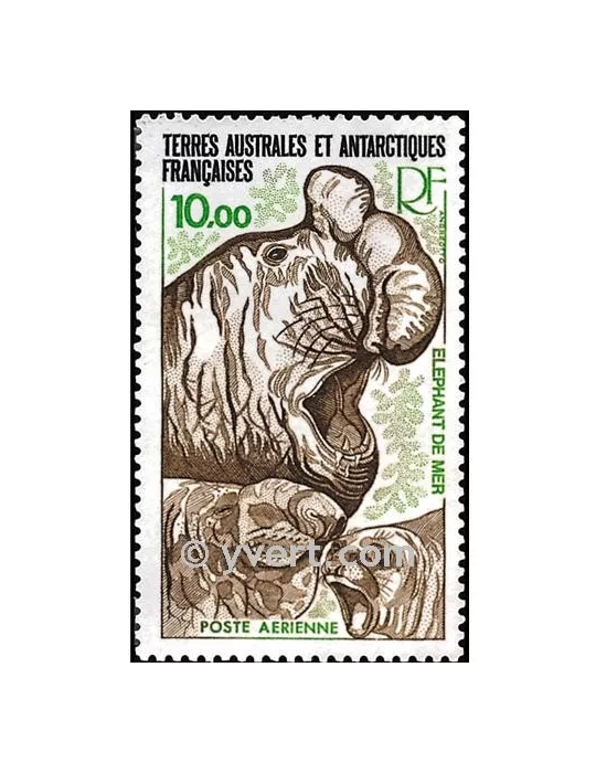 n° 55 -  Timbre TAAF Poste aérienne