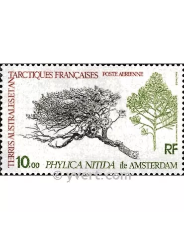 n° 60 -  Timbre TAAF Poste aérienne
