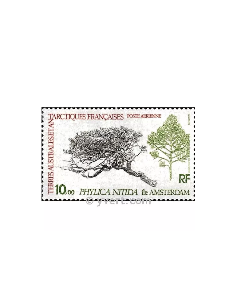 n° 60 -  Timbre TAAF Poste aérienne
