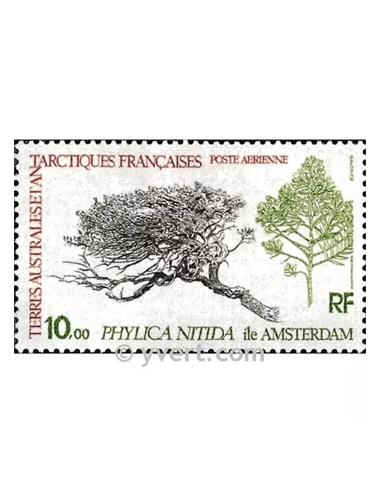 n° 60 -  Timbre TAAF Poste aérienne