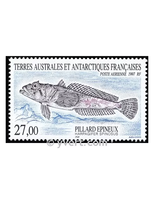 n° 145 -  Timbre TAAF Poste aérienne
