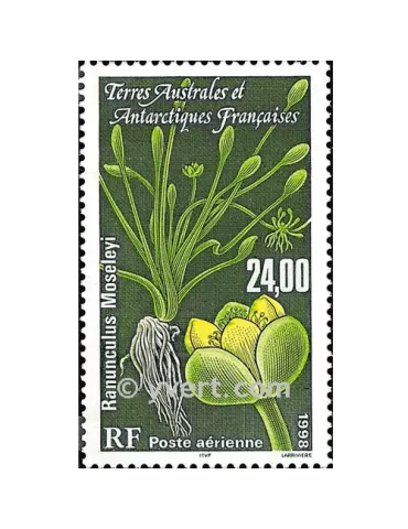 n° 146 -  Timbre TAAF Poste aérienne