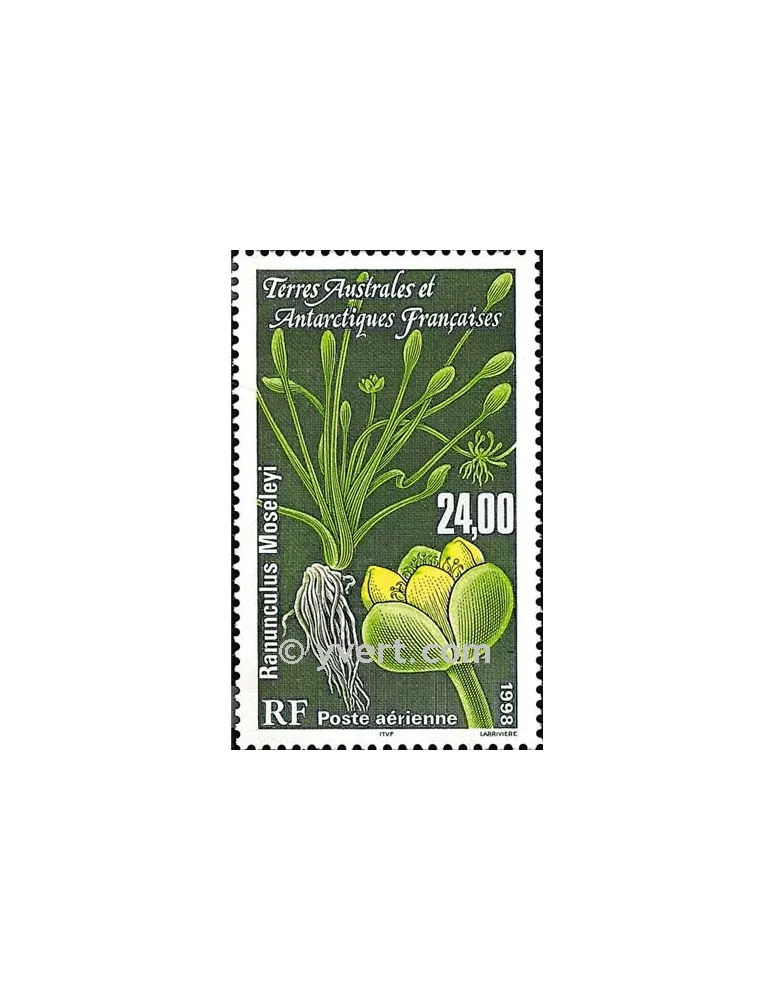 n° 146 -  Timbre TAAF Poste aérienne