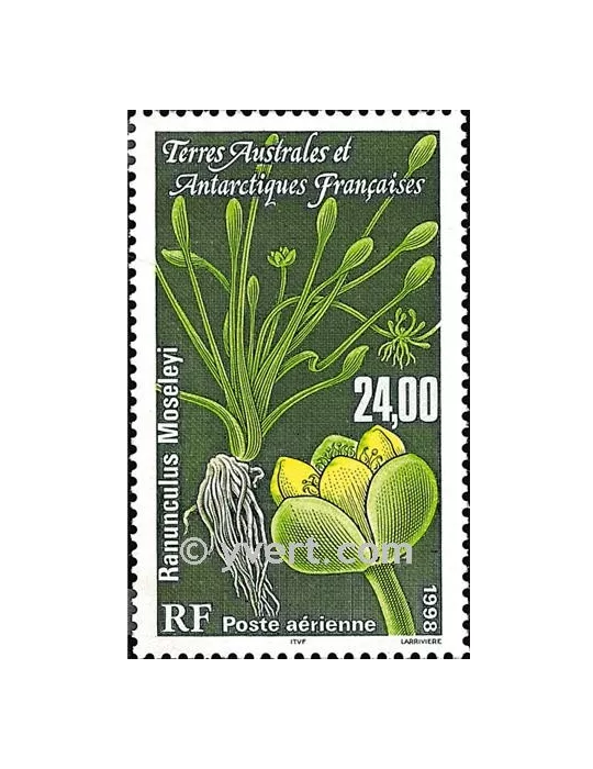 n° 146 -  Timbre TAAF Poste aérienne
