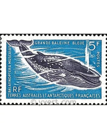 n° 22 -  Timbre TAAF Poste
