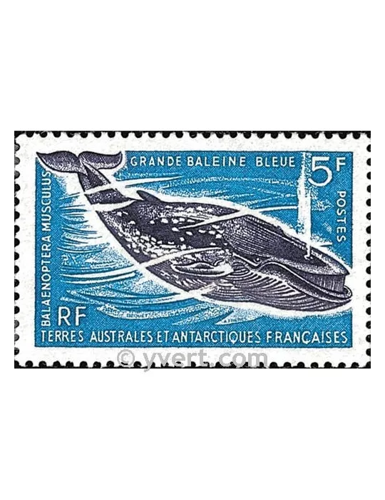 n° 22 -  Timbre TAAF Poste