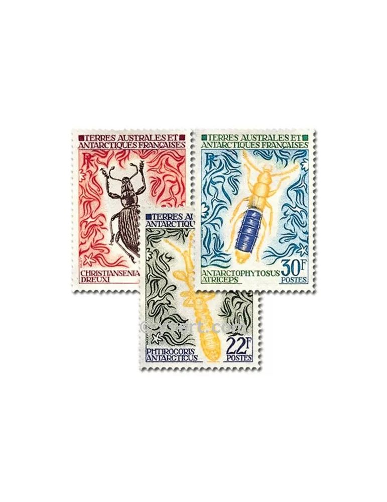 n° 49/51 -  Timbre TAAF Poste