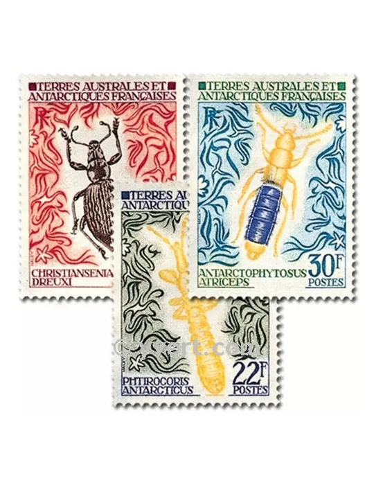 n° 49/51 -  Timbre TAAF Poste