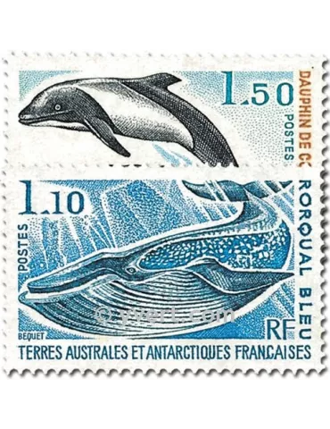 n° 64/65 -  Timbre TAAF Poste 2