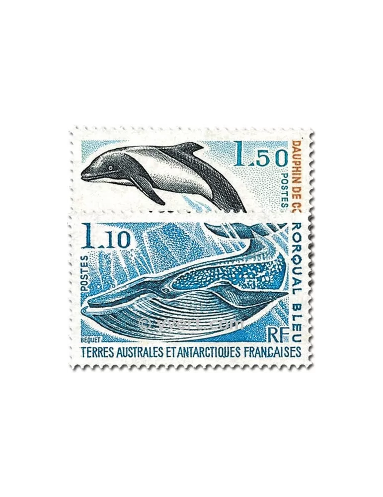 n° 64/65 -  Timbre TAAF Poste