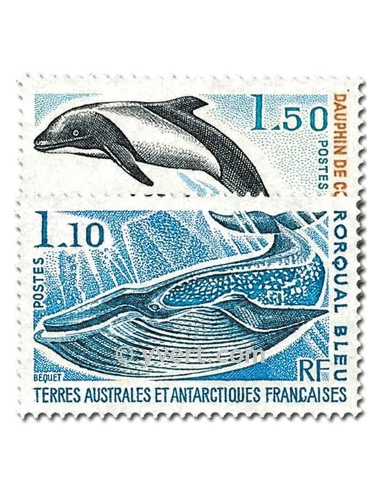 n° 64/65 -  Timbre TAAF Poste