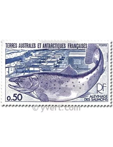 n° 71/72 -  Timbre TAAF Poste 2