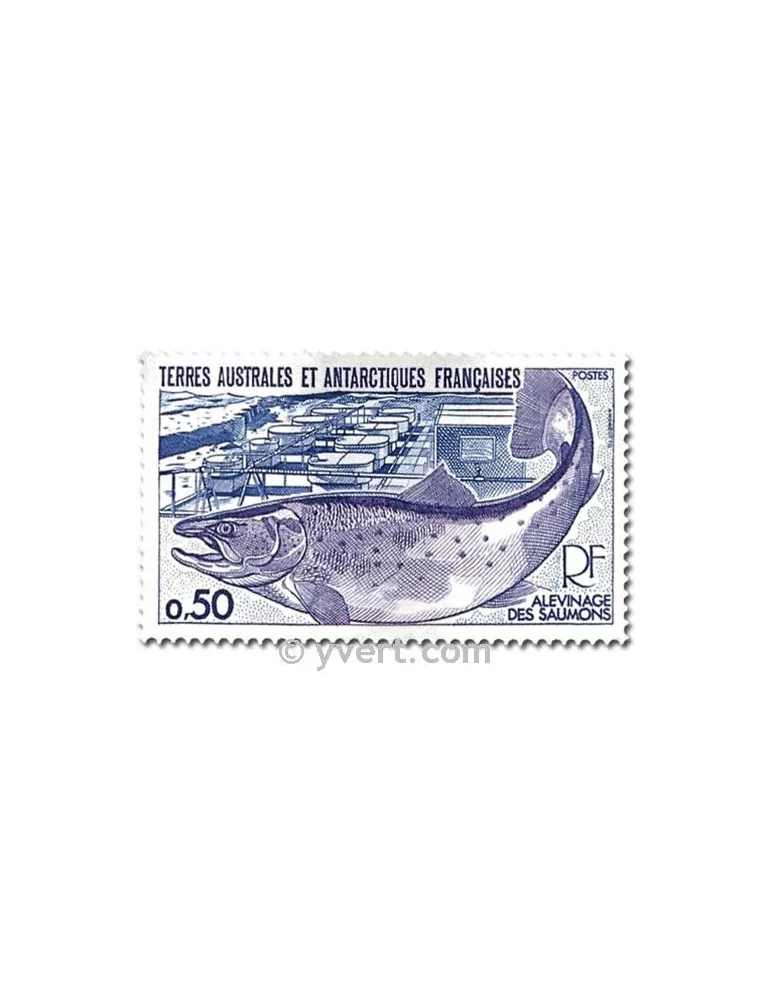 n° 71/72 -  Timbre TAAF Poste