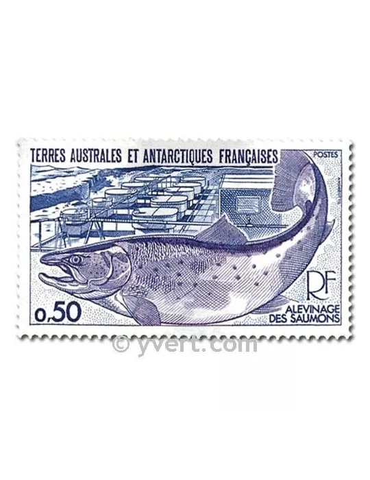 n° 71/72 -  Timbre TAAF Poste