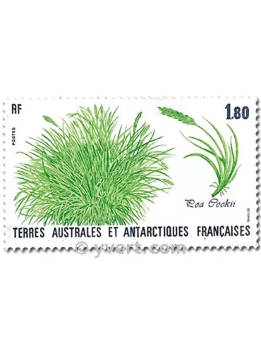 n° 125/126 -  Timbre TAAF Poste 2