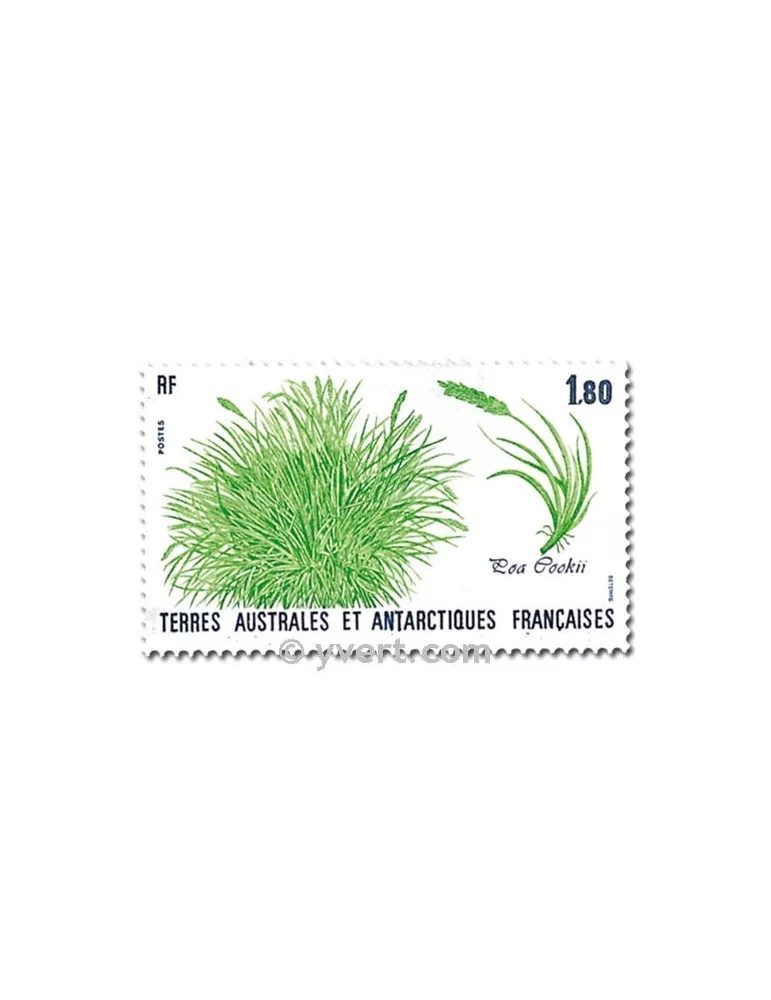 n° 125/126 -  Timbre TAAF Poste