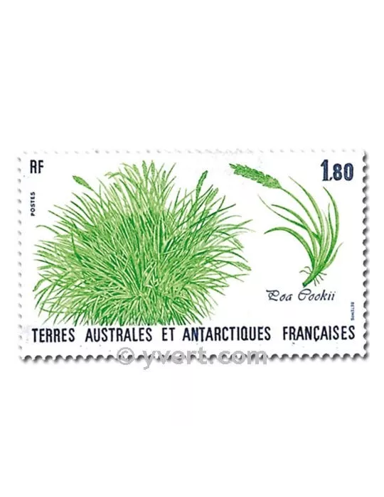 n° 125/126 -  Timbre TAAF Poste
