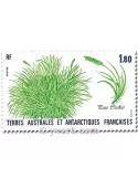 n° 125/126 -  Timbre TAAF Poste