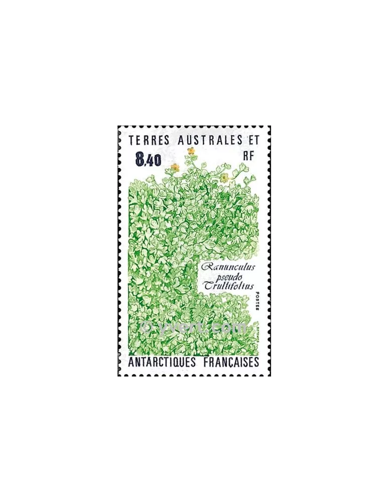 n° 154 -  Timbre TAAF Poste