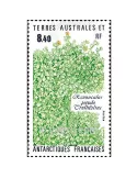n° 154 -  Timbre TAAF Poste
