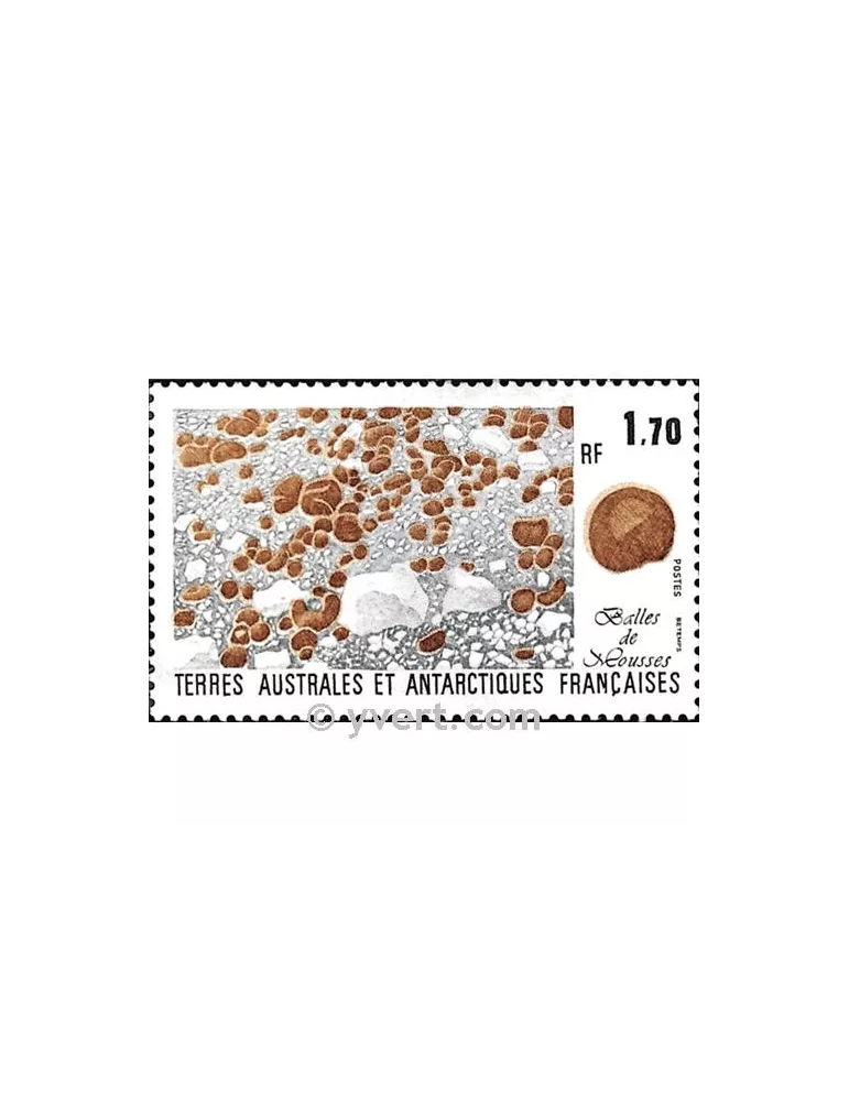 n° 156 -  Timbre TAAF Poste