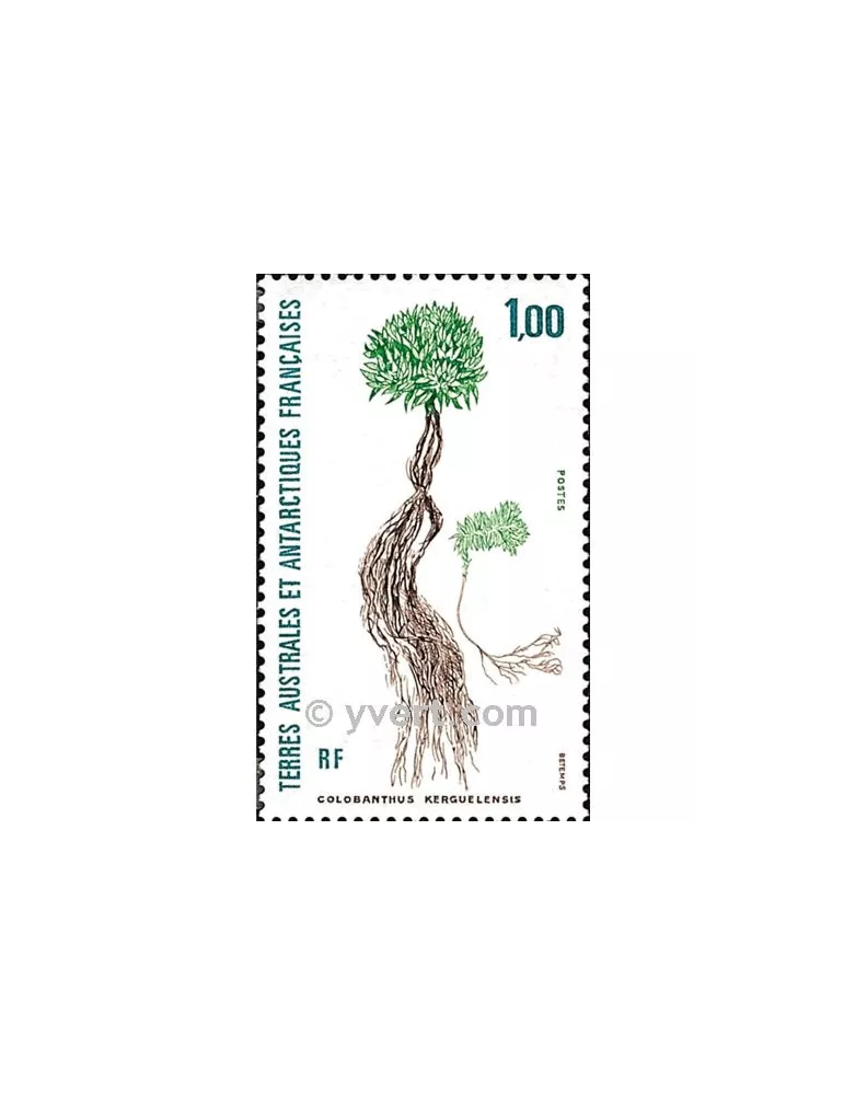 n° 164 -  Timbre TAAF Poste