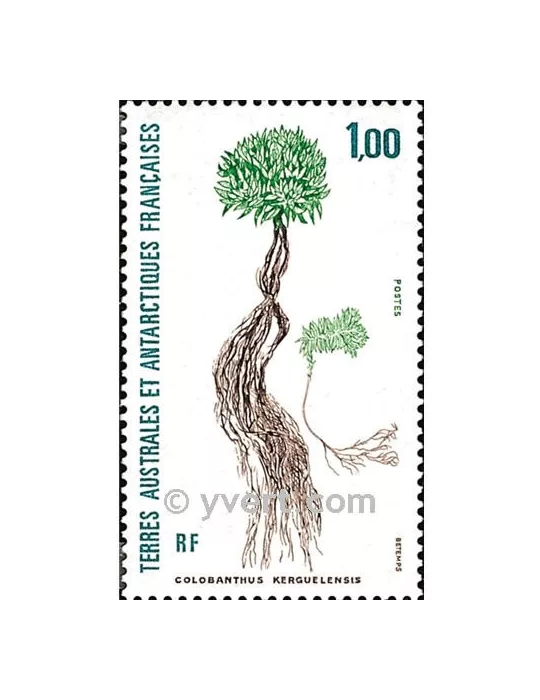 n° 164 -  Timbre TAAF Poste