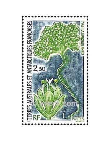 n° 175 -  Timbre TAAF Poste 2