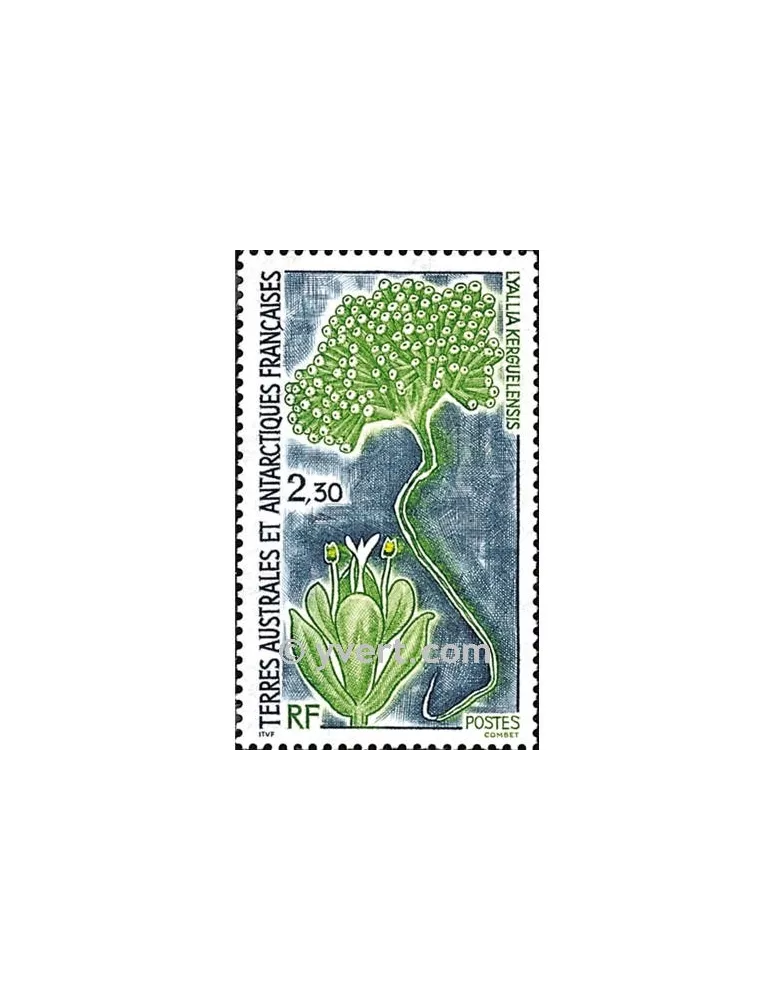 n° 175 -  Timbre TAAF Poste