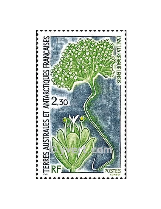 n° 175 -  Timbre TAAF Poste