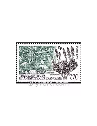 n° 209 -  Timbre TAAF Poste