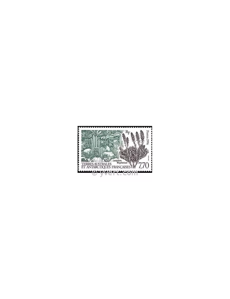 n° 209 -  Timbre TAAF Poste