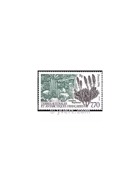 n° 209 -  Timbre TAAF Poste