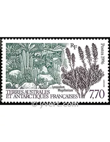 n° 209 -  Timbre TAAF Poste 2