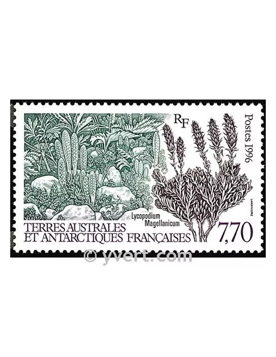 n° 209 -  Timbre TAAF Poste