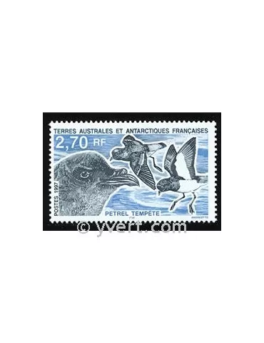 n° 214 -  Timbre TAAF Poste