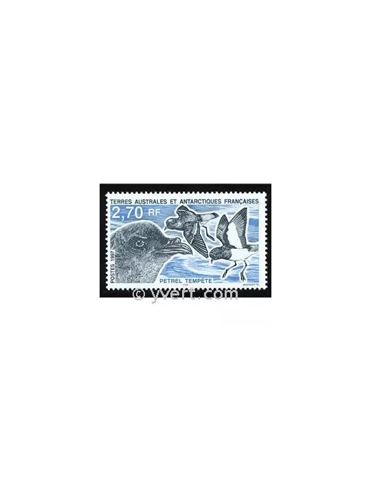 n° 214 -  Timbre TAAF Poste