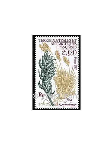 n° 220 -  Timbre TAAF Poste