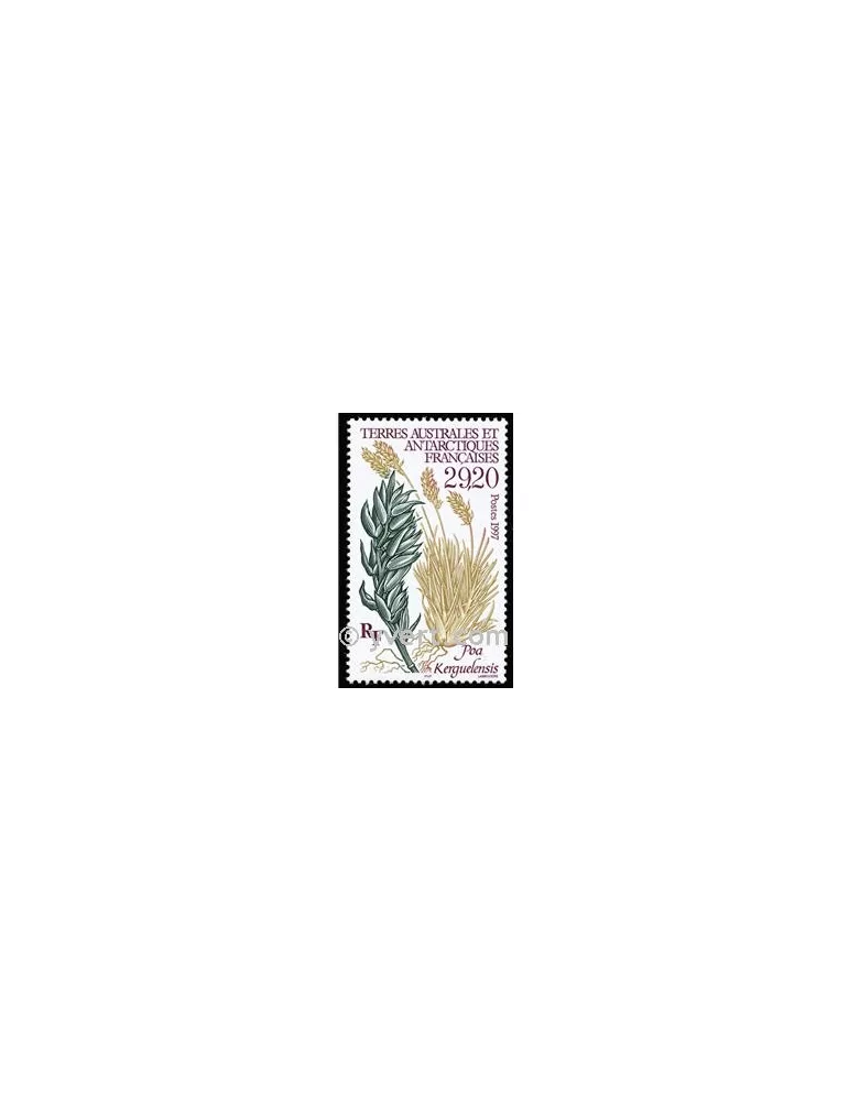 n° 220 -  Timbre TAAF Poste