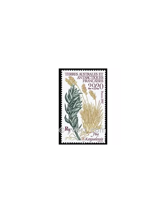 n° 220 -  Timbre TAAF Poste