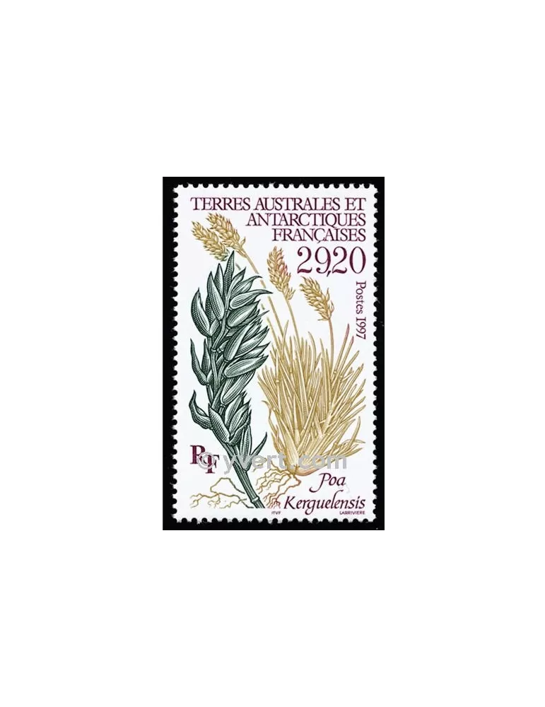 n° 220 -  Timbre TAAF Poste