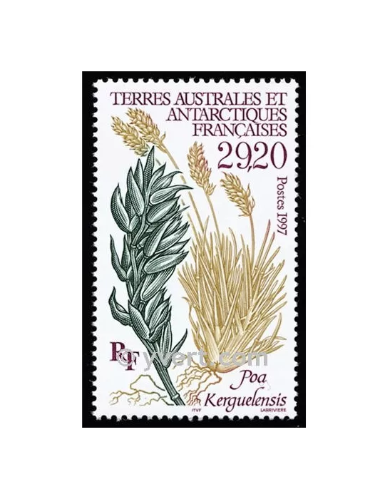 n° 220 -  Timbre TAAF Poste