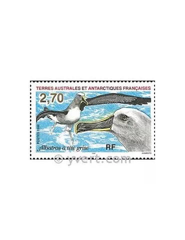 n° 229 -  Timbre TAAF Poste