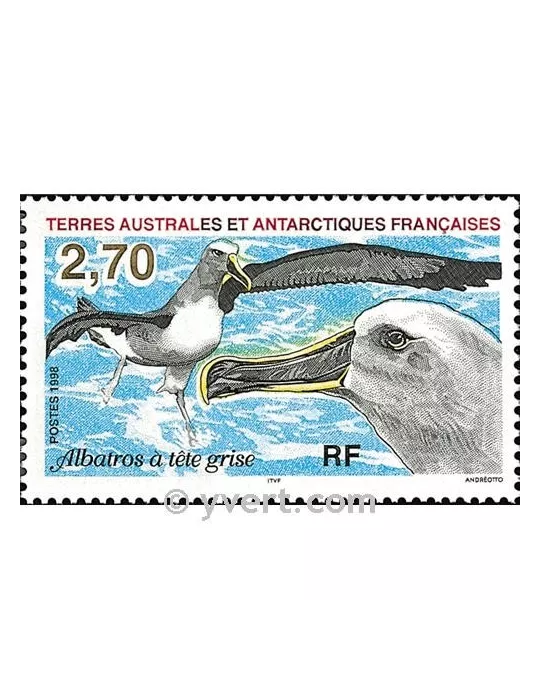 n° 229 -  Timbre TAAF Poste